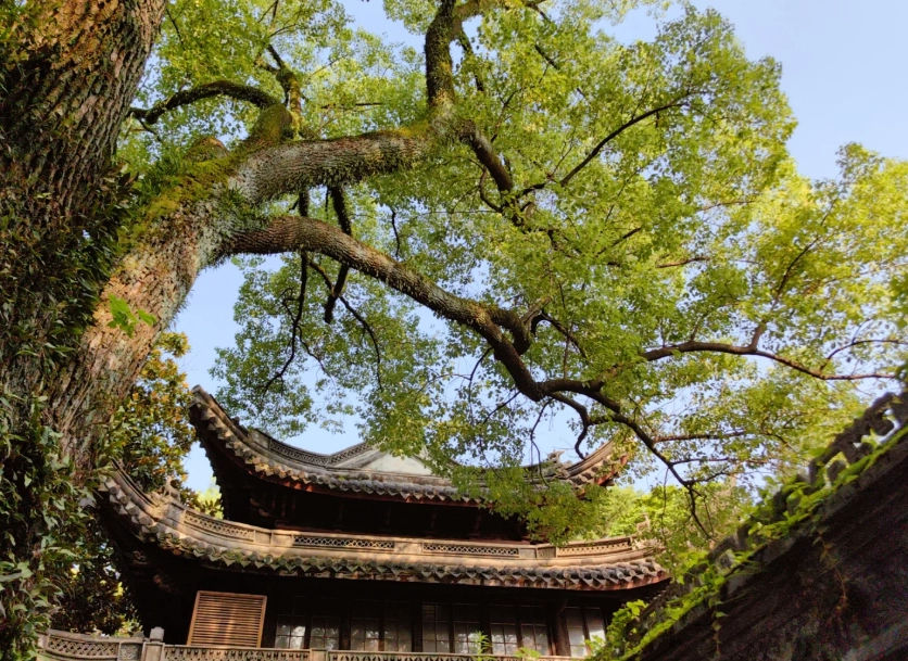 tianyi pavilion museum tickets