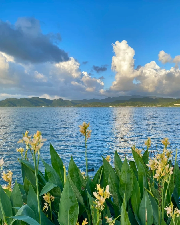 dongqian lake travel guide dongqian lake travel guide