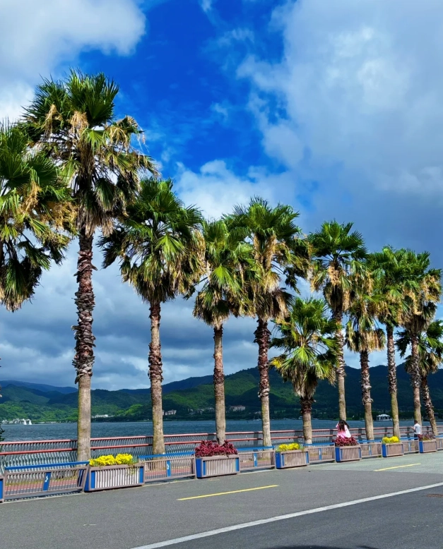 ningbo travel guide ningbo travel guide