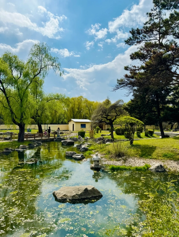 things to do in harbin