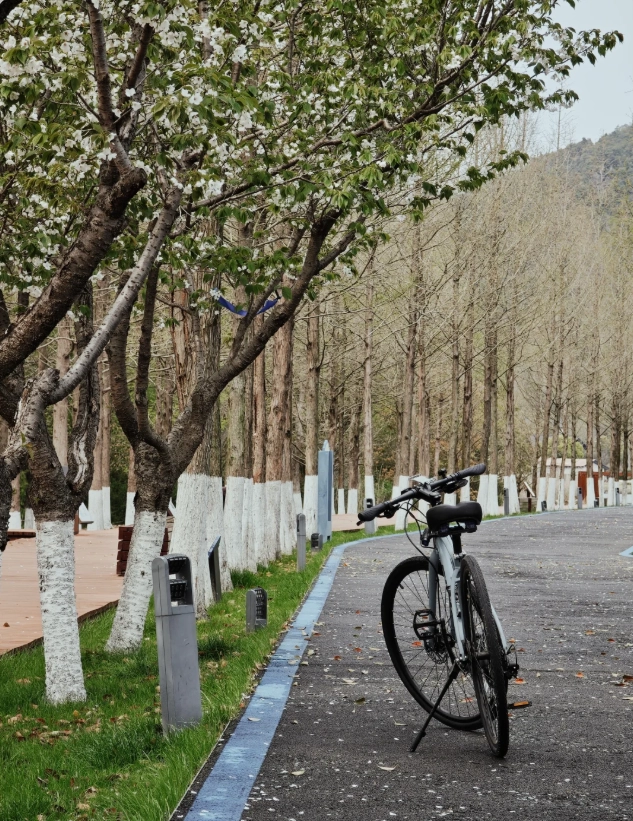 Dongqian Lake bike tour