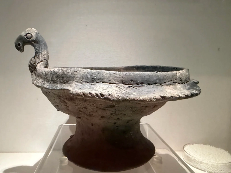Ningbo Museum visiting tips Ningbo Museum visiting tips