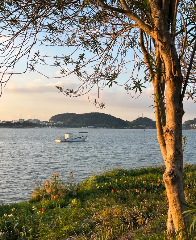 Dongqian Lake activities
