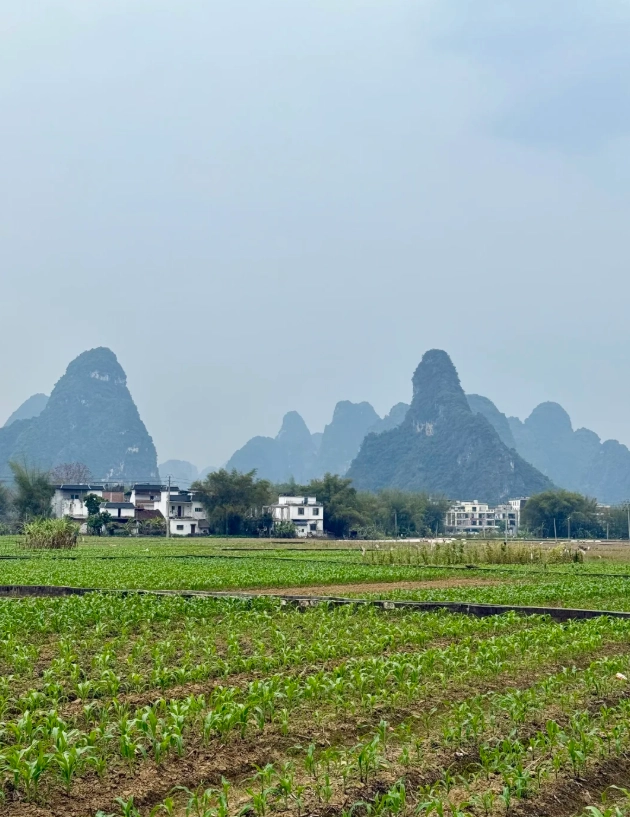 mingshi countryside tours mingshi countryside tours