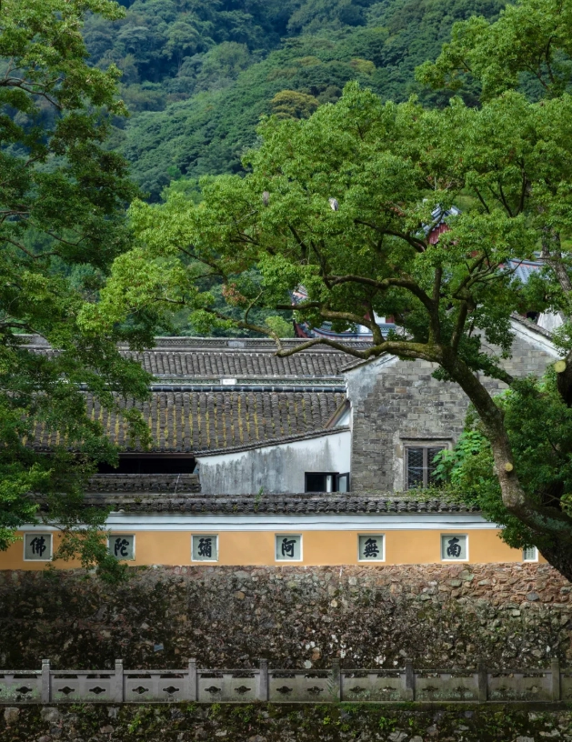 ningbo spring travel tips ningbo spring travel tips