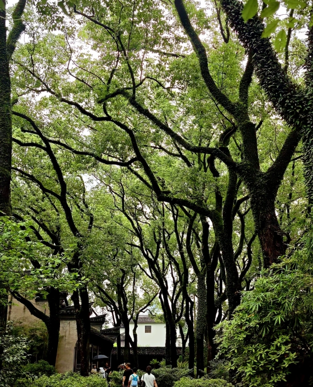 ningbo tianyi pavilion ningbo tianyi pavilion