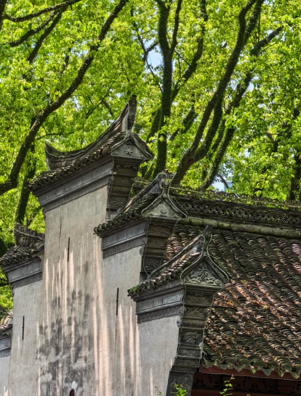 Ningbo travel tips Ningbo travel tips