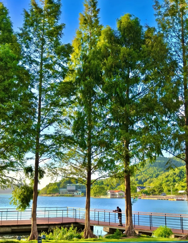 things to do in Ningbo things to do in Ningbo