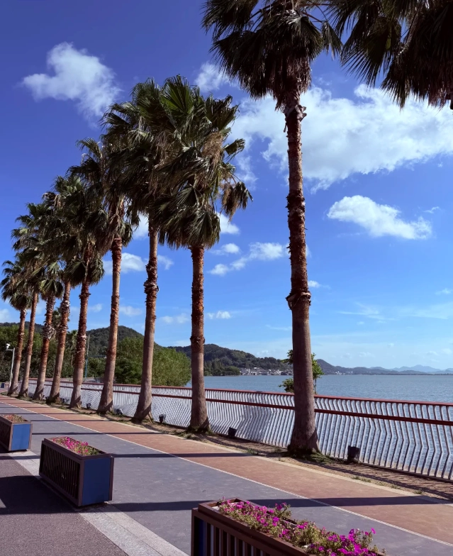 Ningbo day trip Ningbo day trip