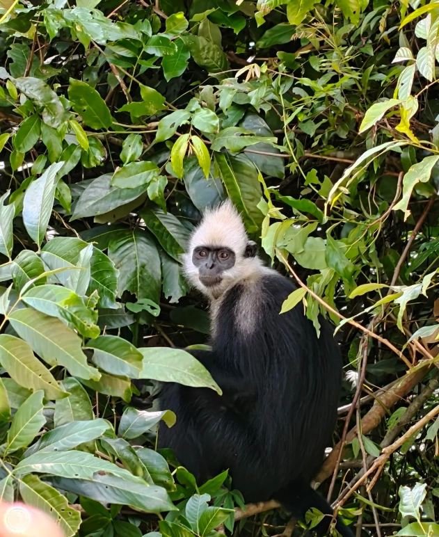 Guangxi nature reserve travel
