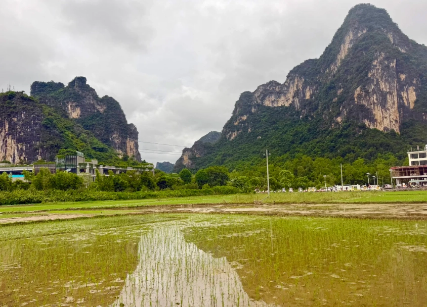 chongzuo food prices
