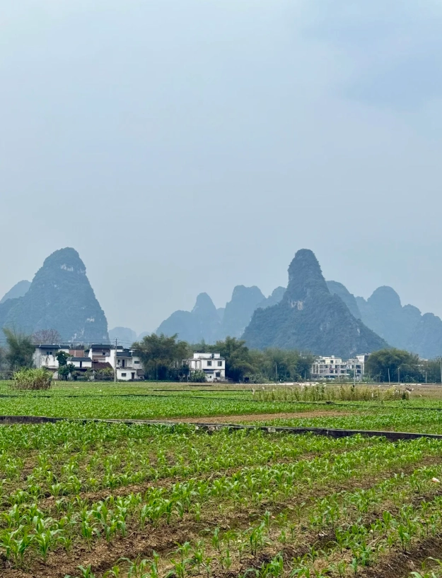 Mingshi Countryside guide