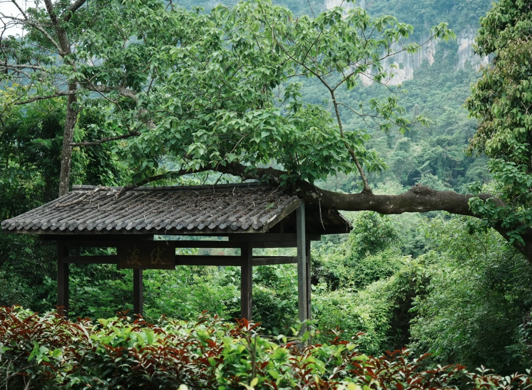 Pingxiang Guangxi travel Pingxiang Guangxi travel