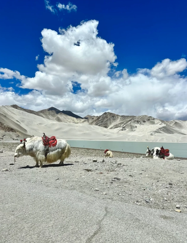 best Kashgar itinerary best Kashgar itinerary