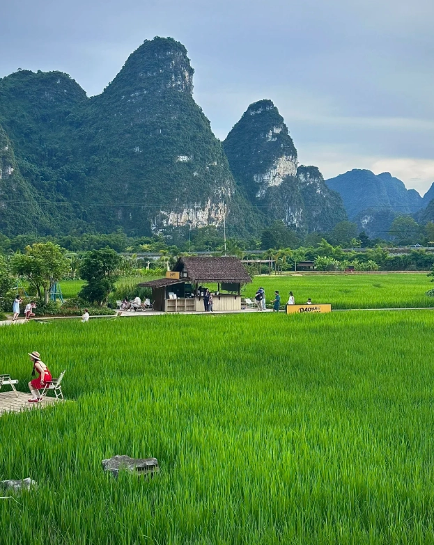 Mingshi Countryside