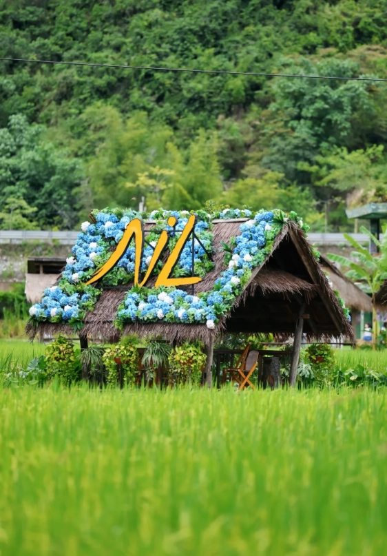 Mingshi Countryside travel guide Mingshi Countryside travel guide