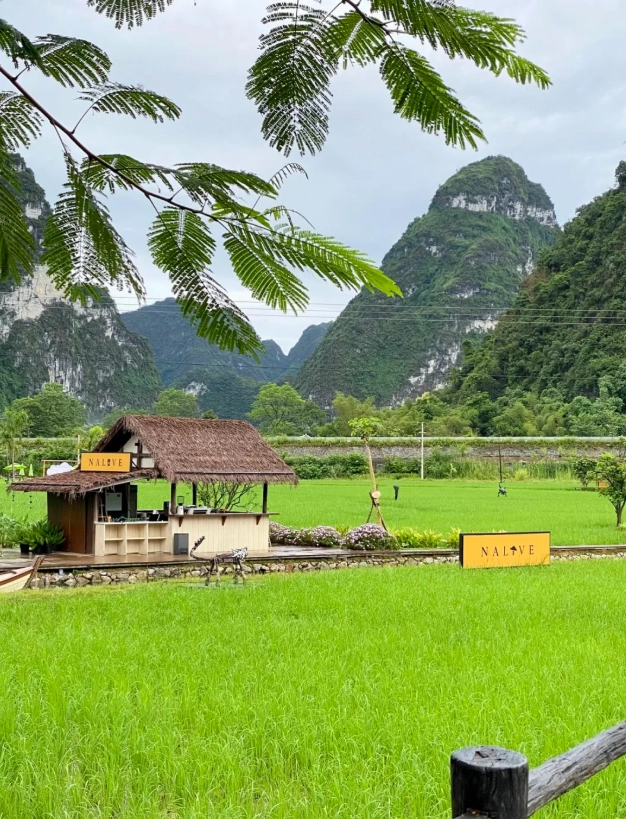 chongzuo itinerary