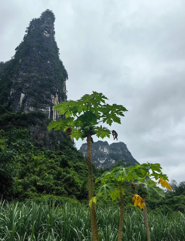 Detian Waterfall travel