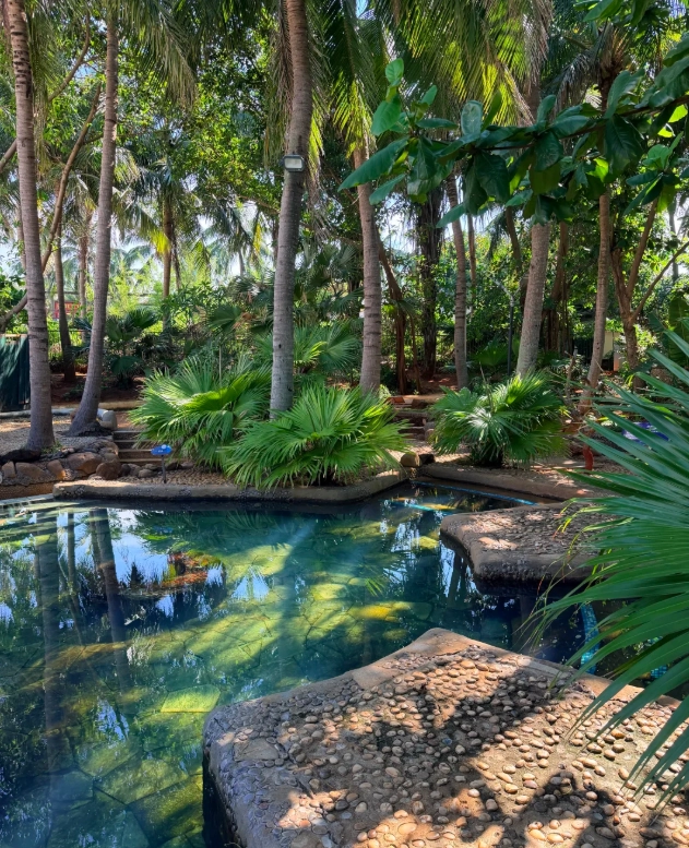haikou hot springs cost