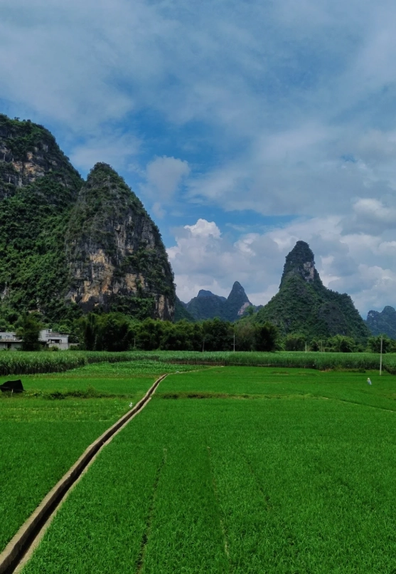when to visit Mingshi Countryside when to visit Mingshi Countryside