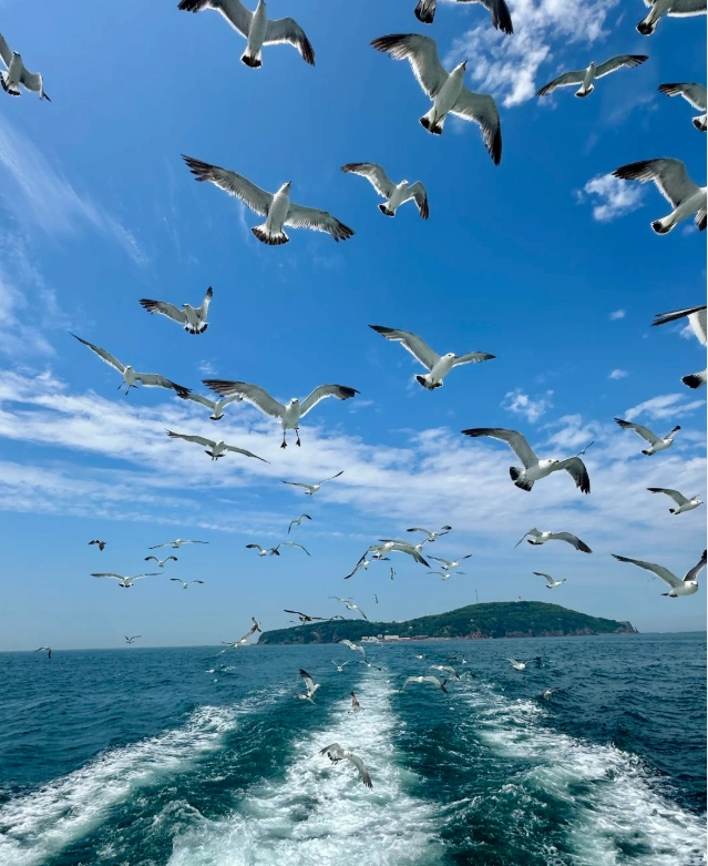 Shandong travel guide