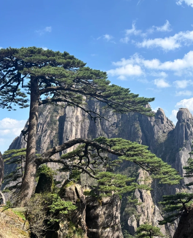 how many days in anhui