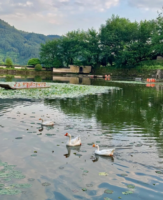 Anhui travel itinerary Anhui travel itinerary