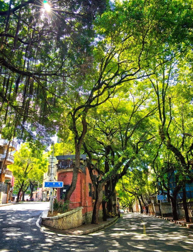 fujian travel guide