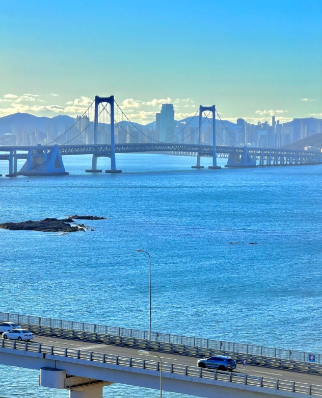 dalian aquarium with kids