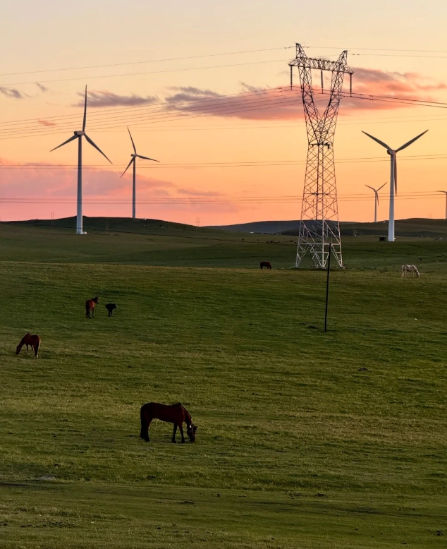 planning a trip to inner mongolia