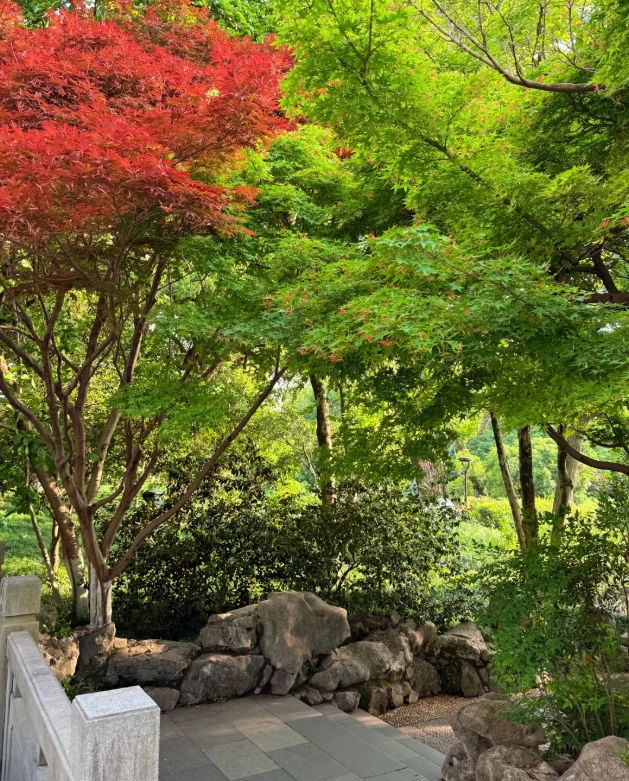 things to do in Hangzhou