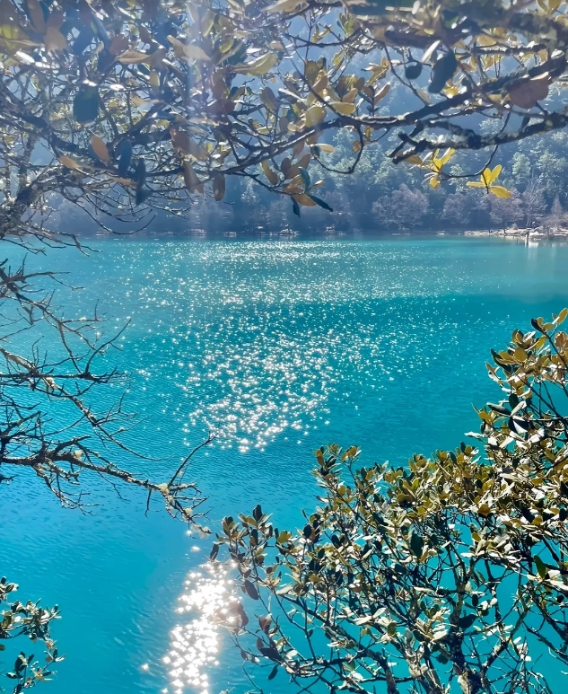 Yunnan travel itinerary Yunnan travel itinerary