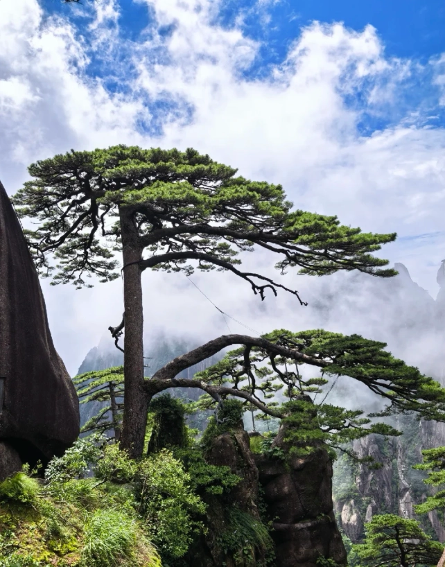 Yellow Mountain hiking tips Yellow Mountain hiking tips