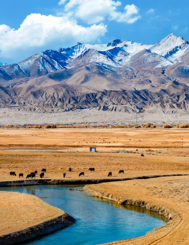 xinjiang road trip planning xinjiang road trip planning