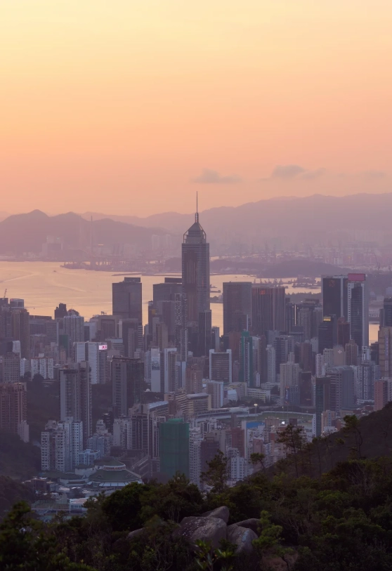 things to do in hong kong
