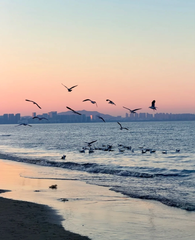 yantai travel guide