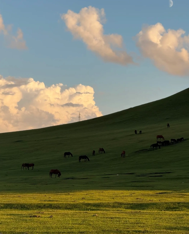 Hulunbuir grassland tours