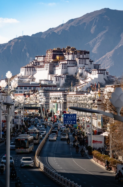 lhasa with kids lhasa with kids