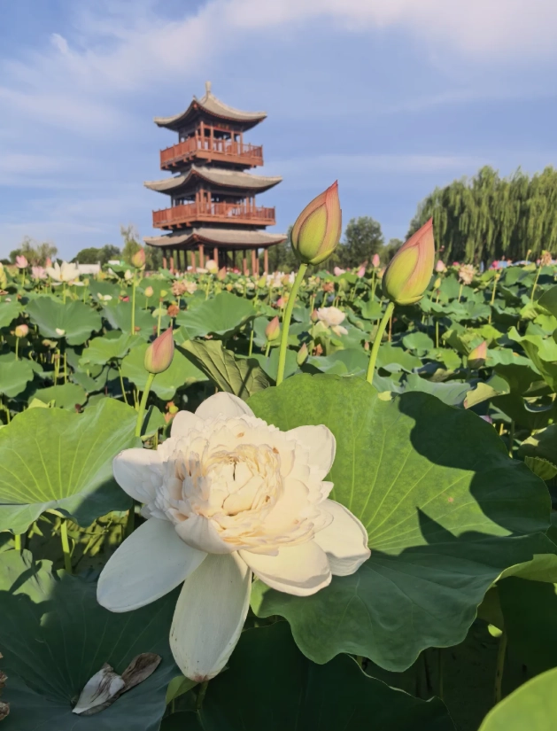 top things to do in hebei