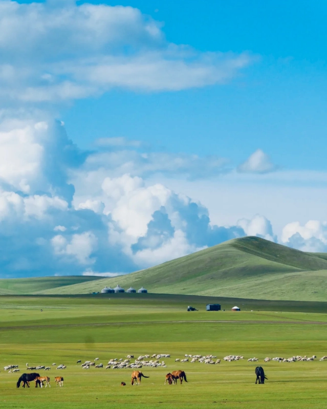 Gobi Desert Inner Mongolia