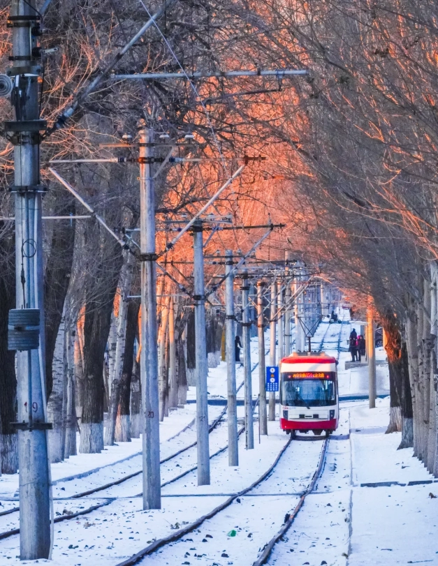 visit changchun days