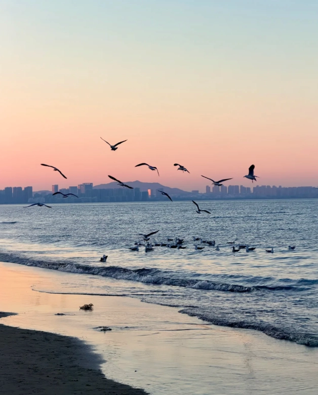 Yantai free attractions Yantai free attractions