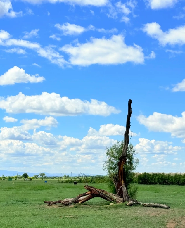 Hulunbuir grassland tours