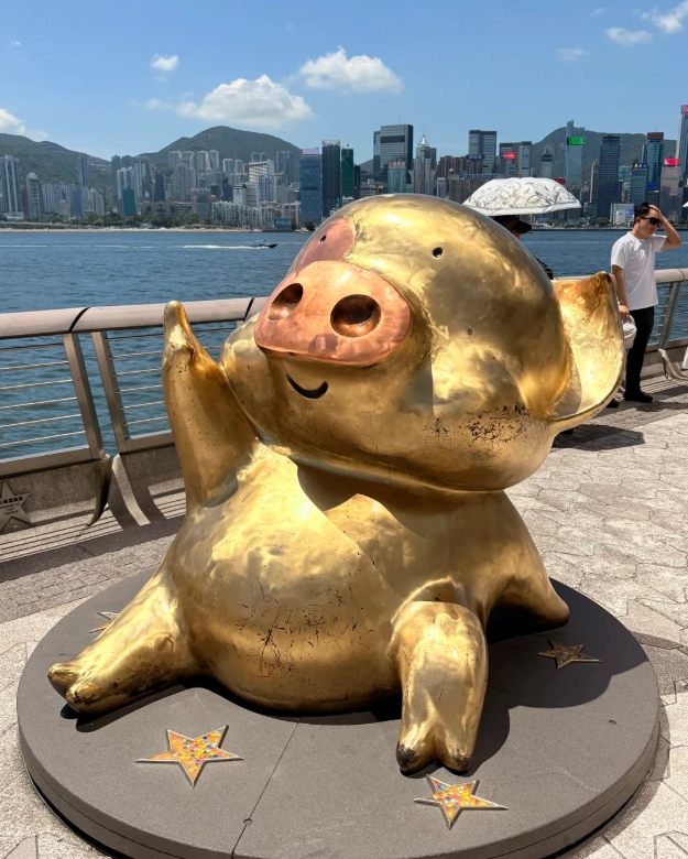 what to do in hong kong what to do in hong kong