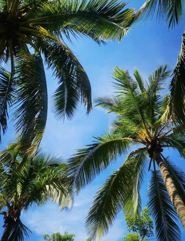 Haikou travel guide