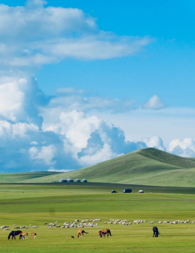 Inner Mongolia with children