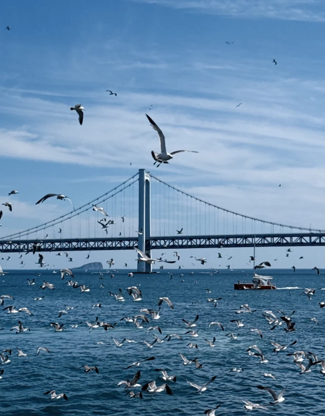things to do in dalian