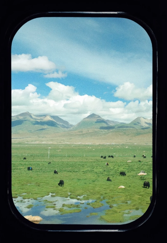 things to do in tibet with kids things to do in tibet with kids