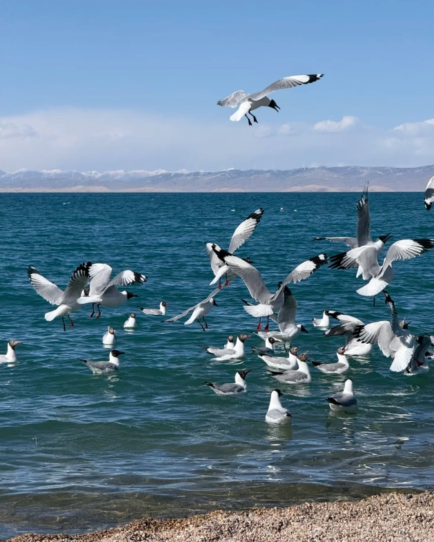 Chaka Salt Lake visiting guide
