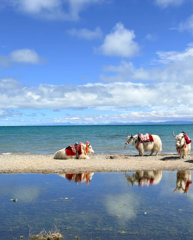 budget travel qinghai